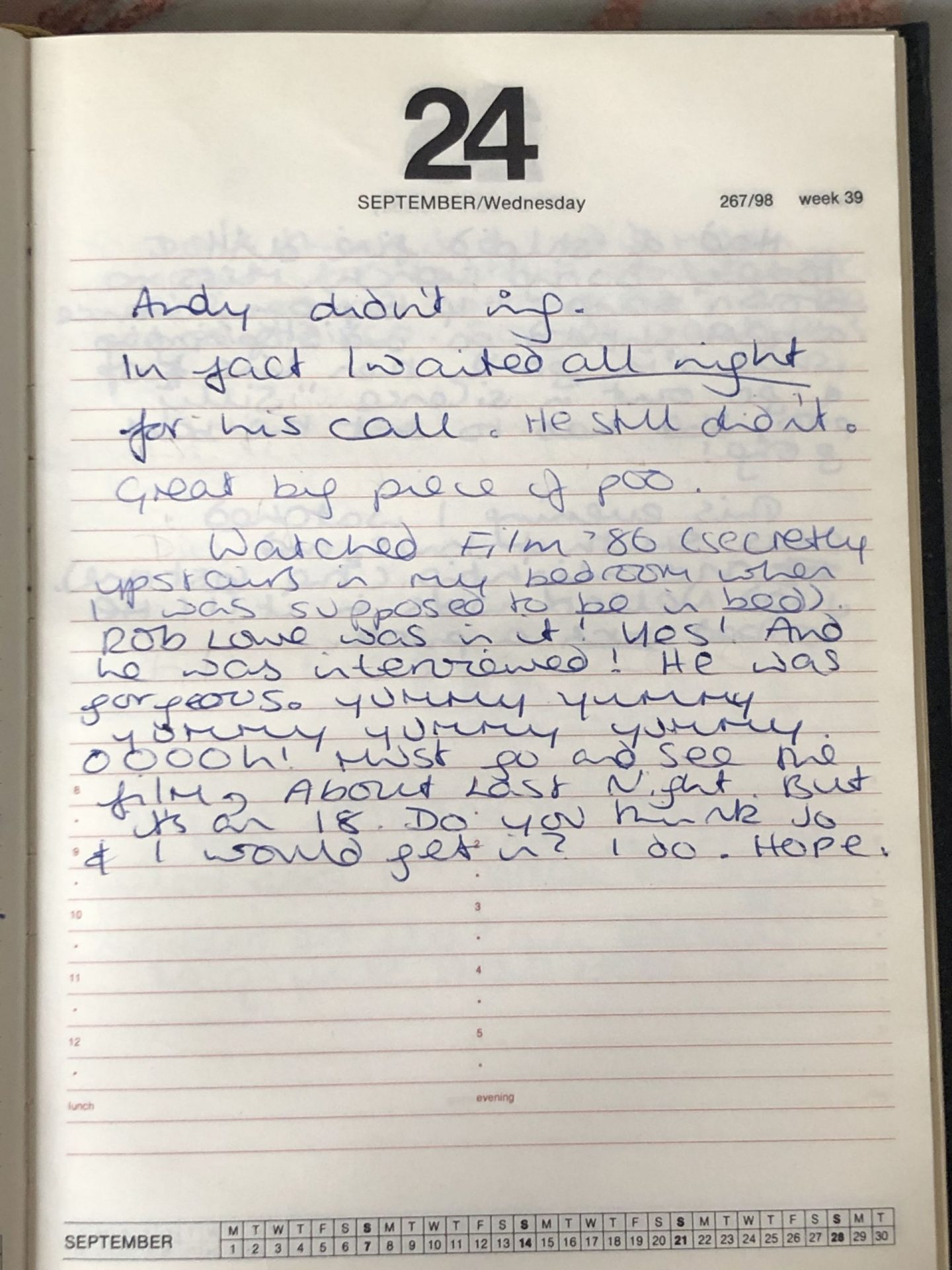 Not Dressed As Lamb's Teenage diaries 1986