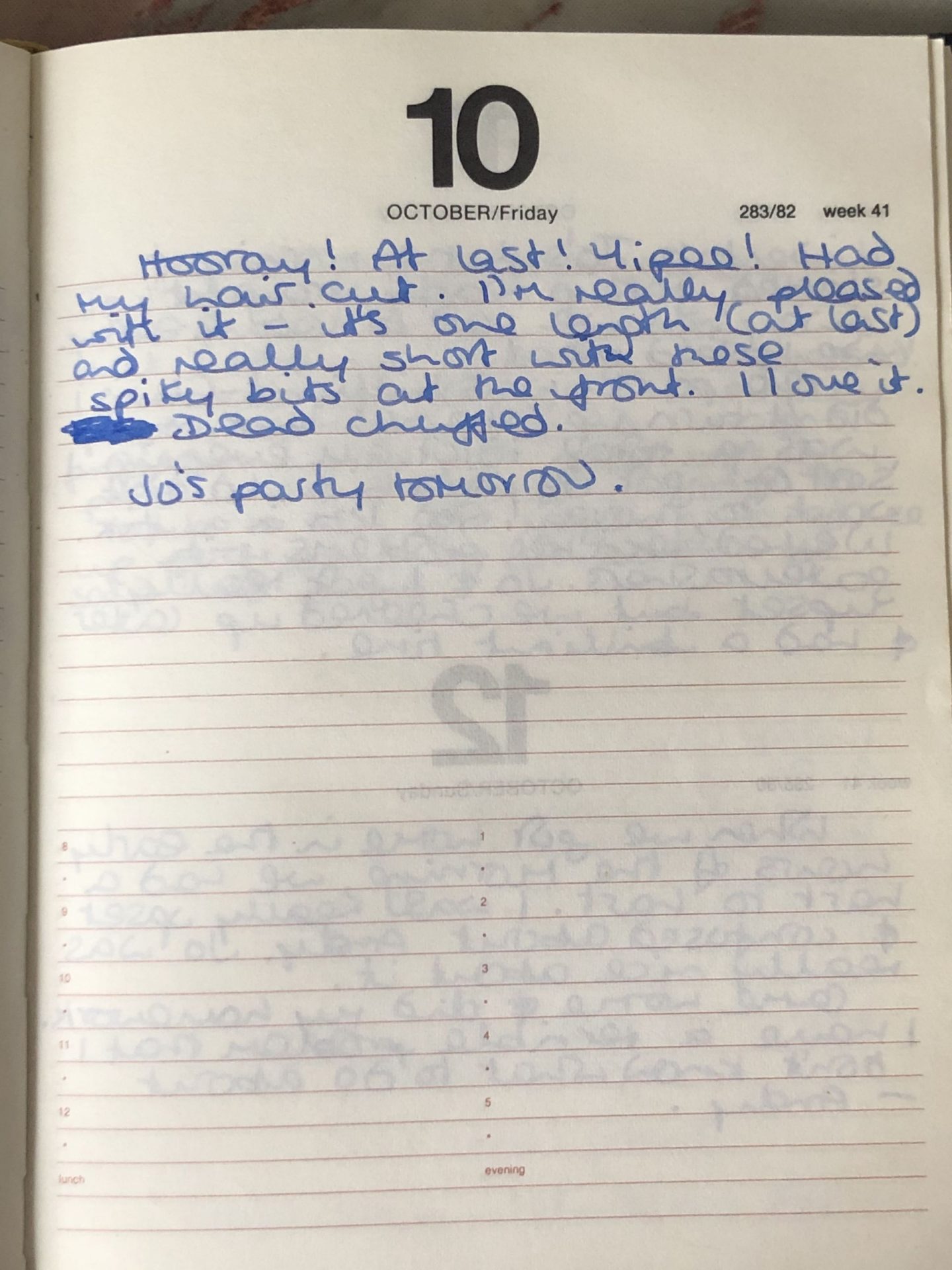 Not Dressed As Lamb's Teenage diaries 1986