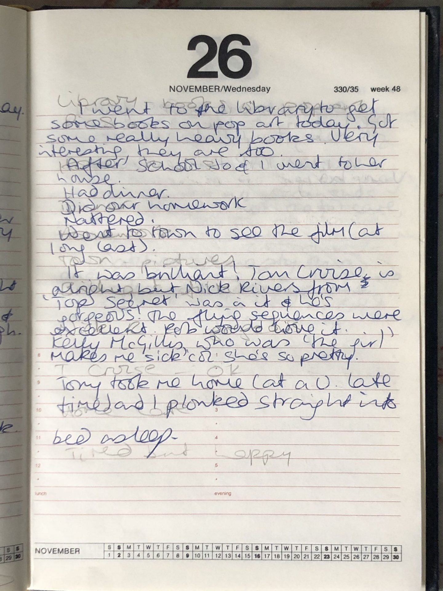 Not Dressed As Lamb's Teenage diaries 1986
