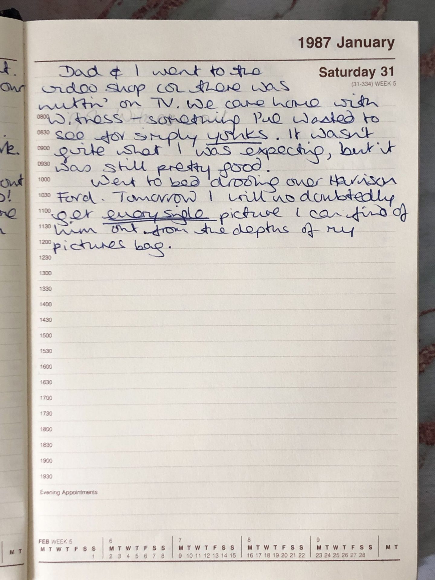 Not Dressed As Lamb's Teenage diaries 1987