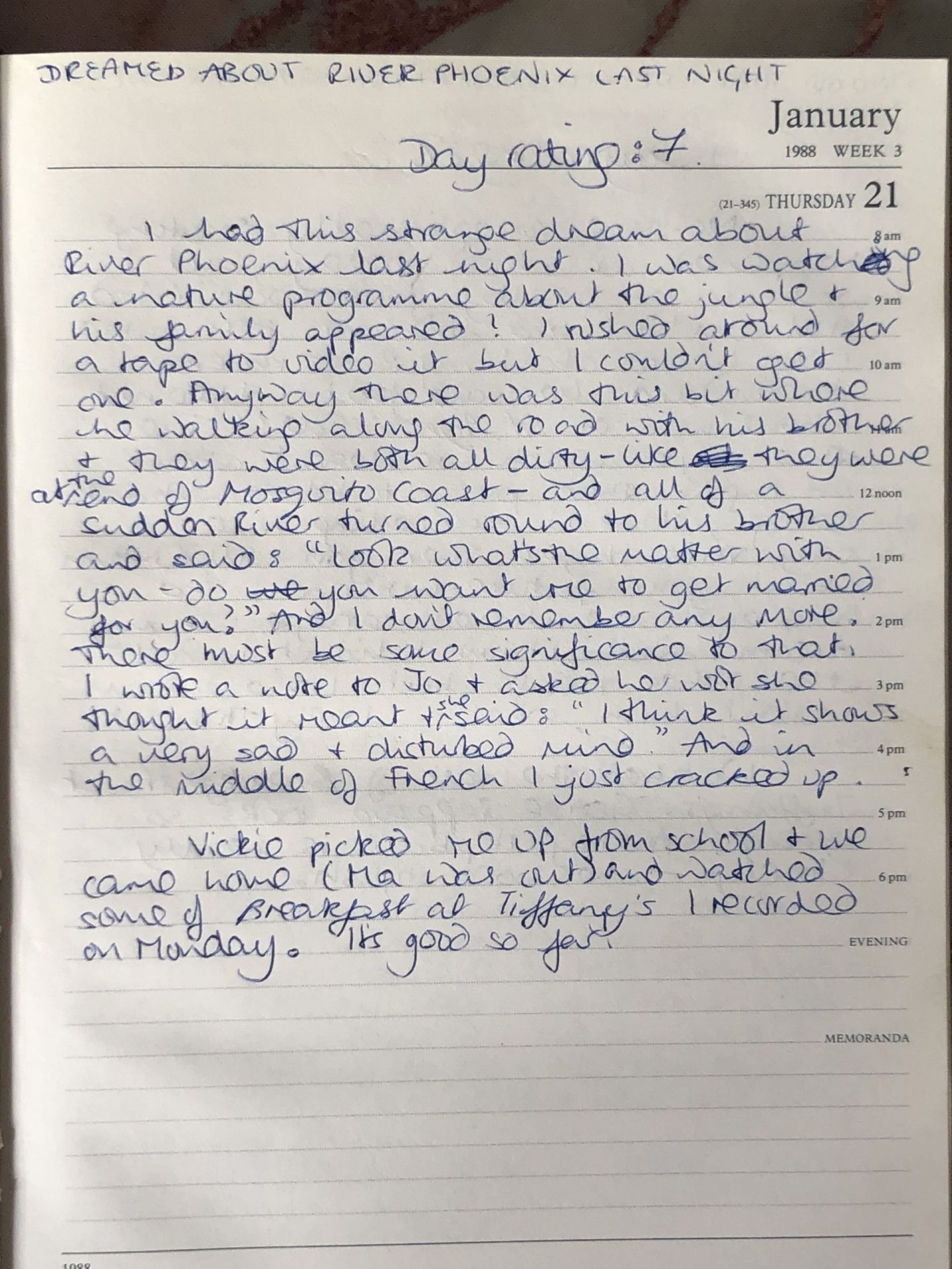 Not Dressed As Lamb's Teenage diaries 1988