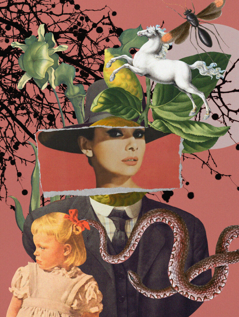 Midlife: It's All a Bit Shit, Isn't It? (Life Lately...)